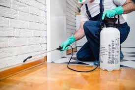 Best Residential Pest Control  in Silver Bay, MN